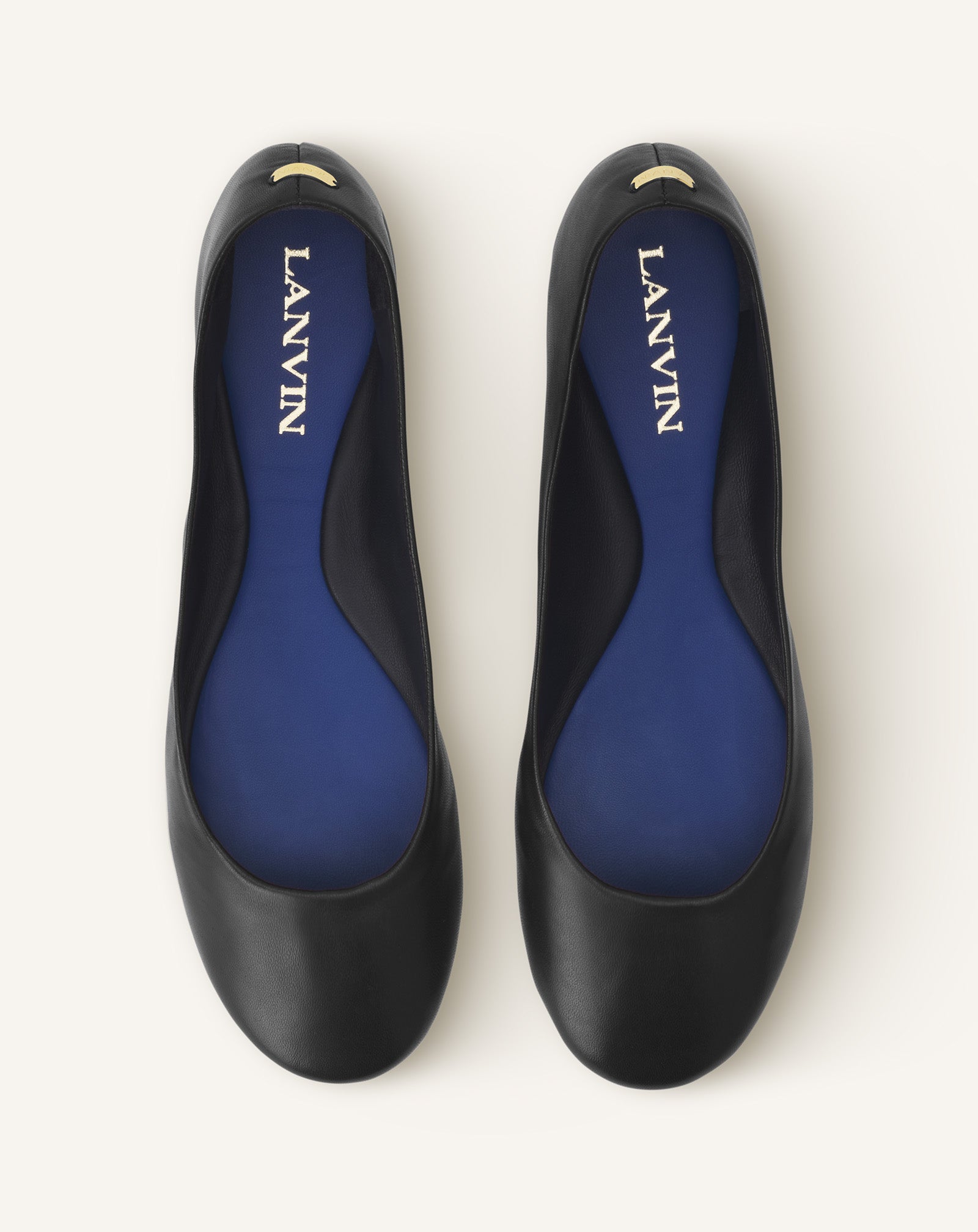 Black The Ballerina Flat In Leather | Lanvin