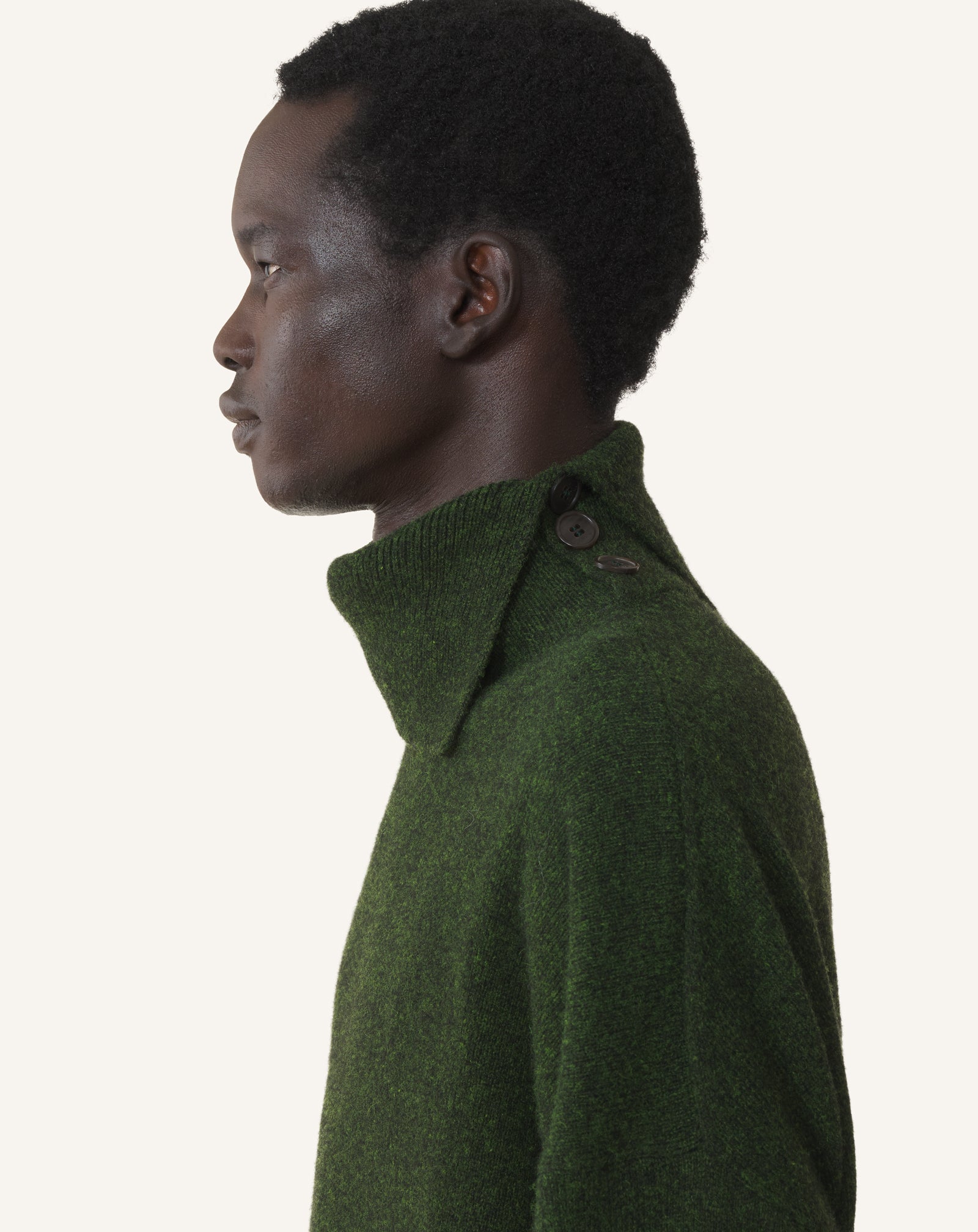 Green Button-neck Sweater In Cashmere | Lanvin